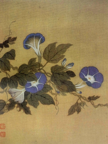TCM Herb Database